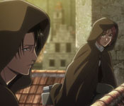 nifa and levi